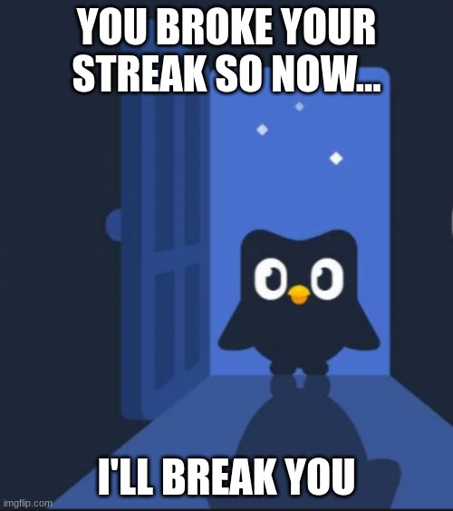 Duolingo bird | YOU BROKE YOUR STREAK SO NOW... I'LL BREAK YOU | image tagged in duolingo bird | made w/ Imgflip meme maker