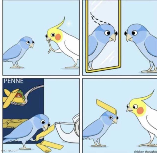 Birb comic: I want a crest | image tagged in comics,birb | made w/ Imgflip meme maker