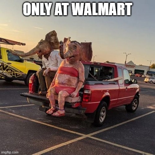 Only at Walmart | ONLY AT WALMART | image tagged in only at walmart | made w/ Imgflip meme maker