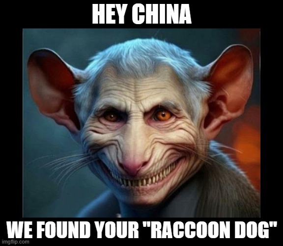 HEY CHINA; WE FOUND YOUR "RACCOON DOG" | made w/ Imgflip meme maker