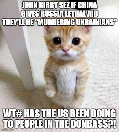 Cute Cat | JOHN KIRBY SEZ IF CHINA GIVES RUSSIA LETHAL AID THEY'LL BE "MURDERING UKRAINIANS"; WT# HAS THE US BEEN DOING TO PEOPLE IN THE DONBASS?! | image tagged in memes,cute cat | made w/ Imgflip meme maker