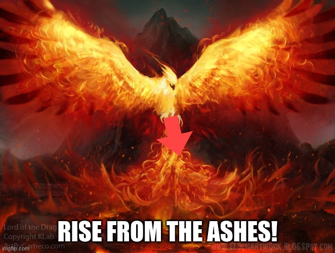 downvote phoenix | RISE FROM THE ASHES! | image tagged in ft mac phoenix | made w/ Imgflip meme maker