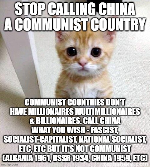Cute Cat Meme | STOP CALLING CHINA A COMMUNIST COUNTRY; COMMUNIST COUNTRIES DON'T HAVE MILLIONAIRES MULTIMILLIONAIRES & BILLIONAIRES. CALL CHINA WHAT YOU WISH - FASCIST, SOCIALIST-CAPITALIST, NATIONAL SOCIALIST, ETC, ETC BUT IT'S NOT COMMUNIST (ALBANIA 1961, USSR 1934, CHINA 1959, ETC) | image tagged in memes,cute cat | made w/ Imgflip meme maker