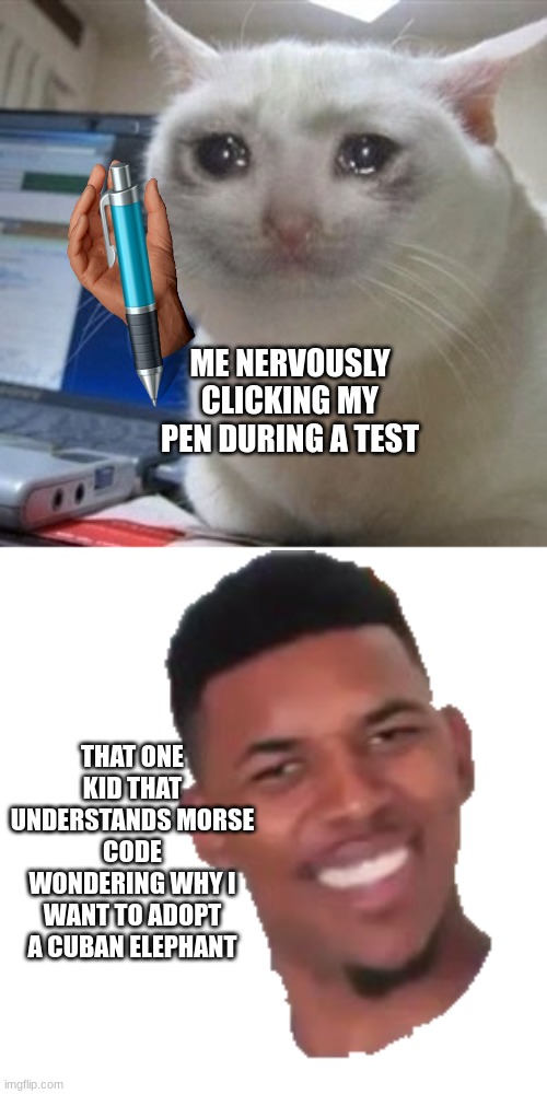 Type skull lin the comments if you understand morse code... Upvote if you don't | ME NERVOUSLY CLICKING MY PEN DURING A TEST; THAT ONE KID THAT UNDERSTANDS MORSE CODE WONDERING WHY I WANT TO ADOPT A CUBAN ELEPHANT | image tagged in crying cat,1 trophy,memes,sad pablo escobar,tuxedo winnie the pooh,gifs | made w/ Imgflip meme maker