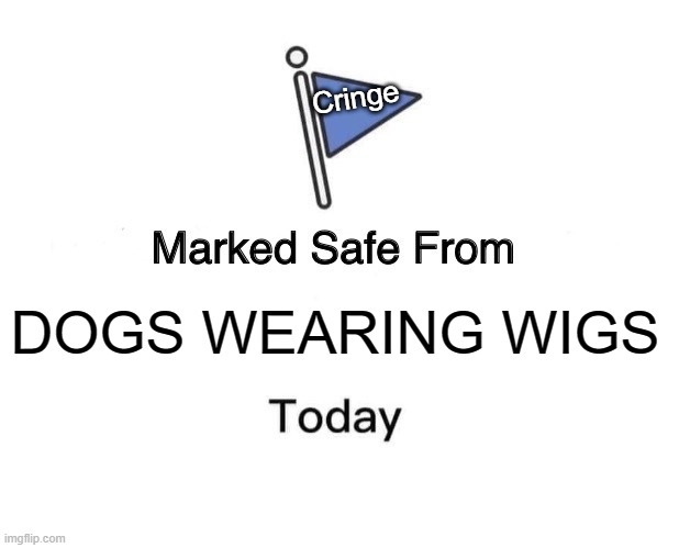DOGS WEARING WIGS???? | Cringe; DOGS WEARING WIGS | image tagged in memes,marked safe from | made w/ Imgflip meme maker