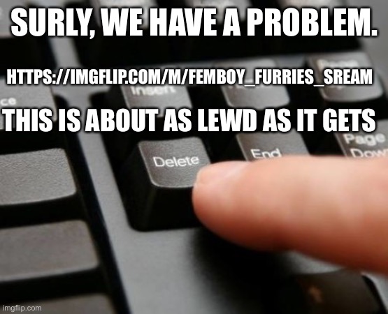 I think I need therapy now | SURLY, WE HAVE A PROBLEM. HTTPS://IMGFLIP.COM/M/FEMBOY_FURRIES_SREAM; THIS IS ABOUT AS LEWD AS IT GETS | image tagged in delete,this,stream,please,dear god | made w/ Imgflip meme maker