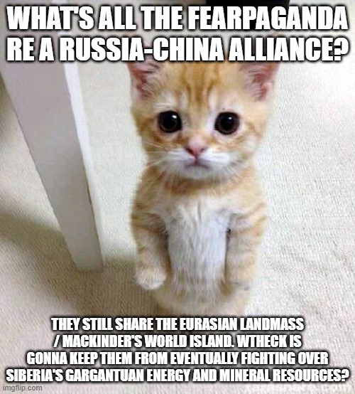 Cute Cat | WHAT'S ALL THE FEARPAGANDA RE A RUSSIA-CHINA ALLIANCE? THEY STILL SHARE THE EURASIAN LANDMASS / MACKINDER'S WORLD ISLAND. WTHECK IS GONNA KEEP THEM FROM EVENTUALLY FIGHTING OVER SIBERIA'S GARGANTUAN ENERGY AND MINERAL RESOURCES? | image tagged in memes,cute cat | made w/ Imgflip meme maker