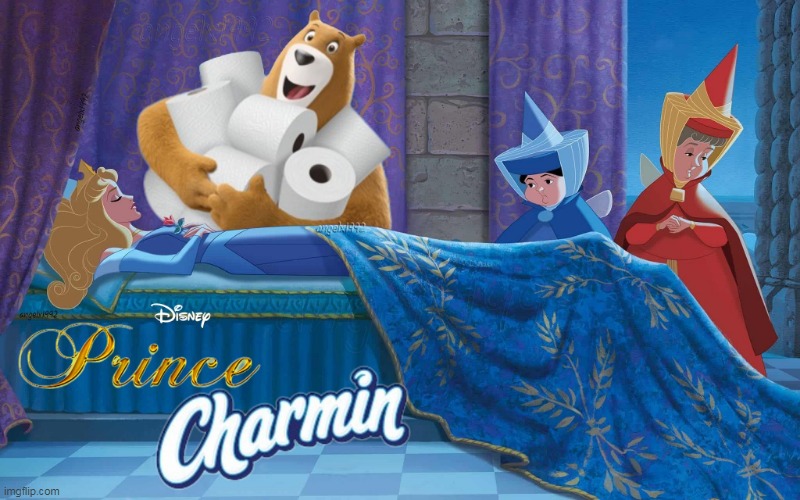 image tagged in disney,sleeping beauty,charmin,prince charming,toilet paper,cartoon | made w/ Imgflip meme maker