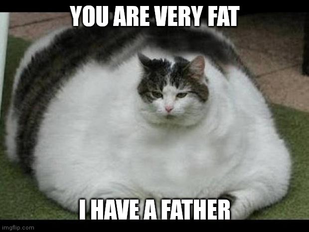 Fat you! | YOU ARE VERY FAT I HAVE A FATHER | image tagged in fat cat 2 | made w/ Imgflip meme maker
