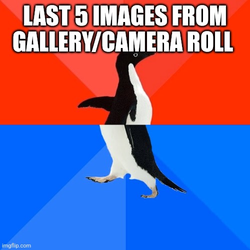 Socially Awesome Awkward Penguin Meme | LAST 5 IMAGES FROM GALLERY/CAMERA ROLL | image tagged in memes,socially awesome awkward penguin | made w/ Imgflip meme maker