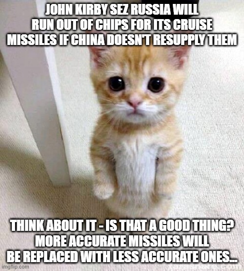 Cute Cat | JOHN KIRBY SEZ RUSSIA WILL RUN OUT OF CHIPS FOR ITS CRUISE MISSILES IF CHINA DOESN'T RESUPPLY THEM; THINK ABOUT IT - IS THAT A GOOD THING?
MORE ACCURATE MISSILES WILL BE REPLACED WITH LESS ACCURATE ONES... | image tagged in memes,cute cat | made w/ Imgflip meme maker