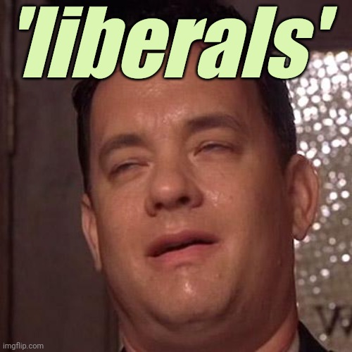 Tom Hanks Orgasm | 'liberals' | image tagged in tom hanks orgasm | made w/ Imgflip meme maker