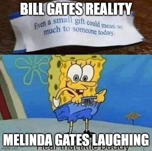 Bill Gates Reality | BILL GATES REALITY; MELINDA GATES LAUGHING | image tagged in bill gates reality | made w/ Imgflip meme maker