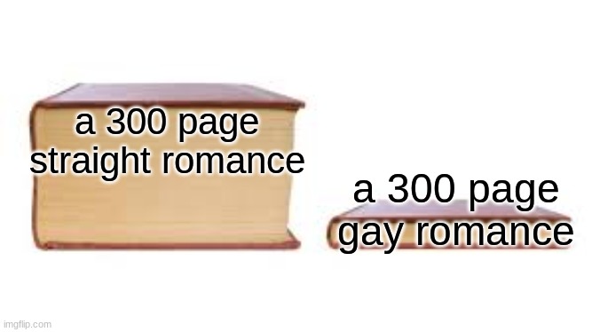 Big book small book | a 300 page gay romance; a 300 page straight romance | image tagged in big book small book | made w/ Imgflip meme maker