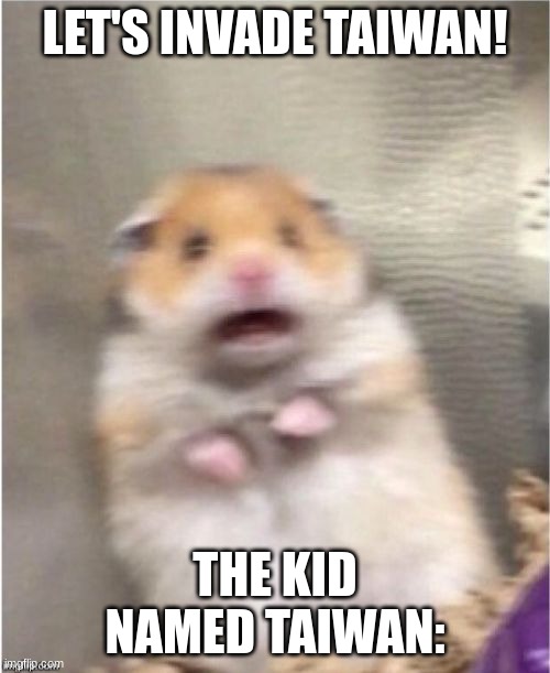 Scared Hamster | LET'S INVADE TAIWAN! THE KID NAMED TAIWAN: | image tagged in scared hamster | made w/ Imgflip meme maker