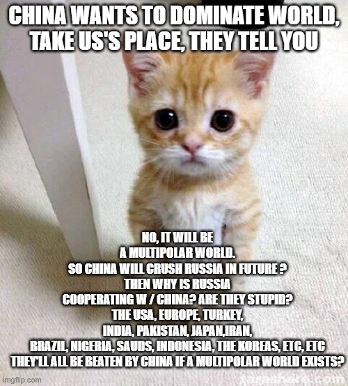 Cute Cat Meme | NO, IT WILL BE A MULTIPOLAR WORLD.
SO CHINA WILL CRUSH RUSSIA IN FUTURE ?
THEN WHY IS RUSSIA COOPERATING W / CHINA? ARE THEY STUPID?
THE USA, EUROPE, TURKEY, INDIA, PAKISTAN, JAPAN,IRAN, BRAZIL, NIGERIA, SAUDS, INDONESIA, THE KOREAS, ETC, ETC
THEY'LL ALL BE BEATEN BY CHINA IF A MULTIPOLAR WORLD EXISTS? CHINA WANTS TO DOMINATE WORLD,
TAKE US'S PLACE, THEY TELL YOU | image tagged in memes,cute cat | made w/ Imgflip meme maker