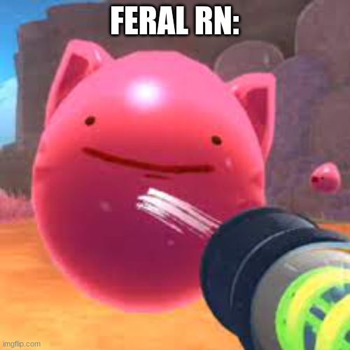 FERAL RN: | made w/ Imgflip meme maker