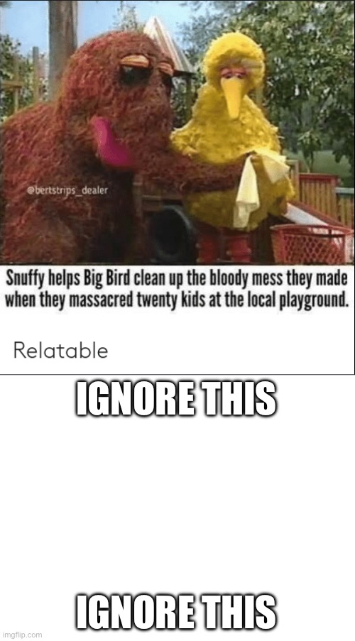 Big Bird and Snuffy Going Crazy At The Playground | IGNORE THIS; IGNORE THIS | image tagged in memes | made w/ Imgflip meme maker