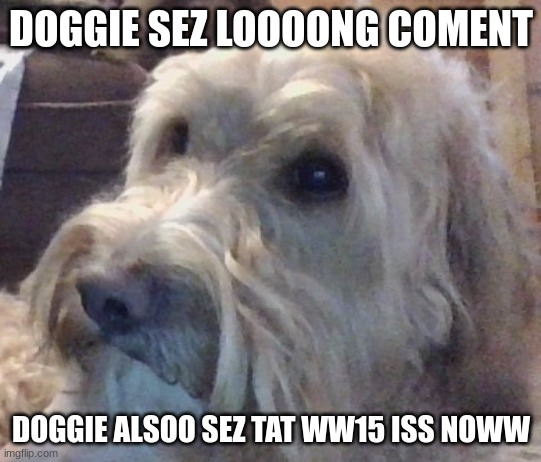 dog | DOGGIE SEZ LOOOONG COMENT DOGGIE ALSOO SEZ TAT WW15 ISS NOWW | image tagged in dog | made w/ Imgflip meme maker