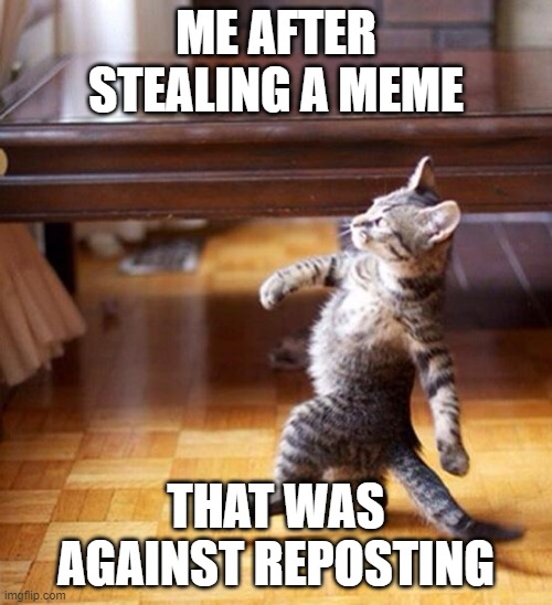 This is not a repost, sorry. | ME AFTER STEALING A MEME; THAT WAS AGAINST REPOSTING | image tagged in swag cat | made w/ Imgflip meme maker