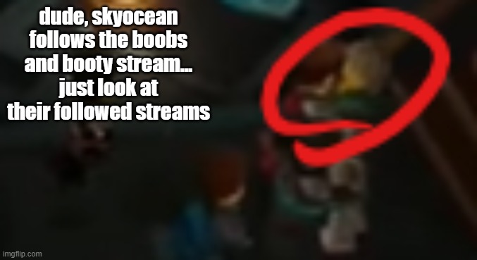 good god bruh | dude, skyocean follows the boobs and booty stream... just look at their followed streams | image tagged in never pause ninjago 2 | made w/ Imgflip meme maker