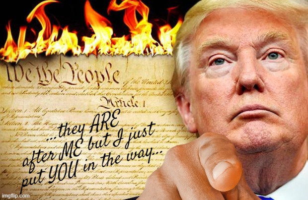Trump burns the Constitution when it gets in the way | ...they ARE after ME but I just put YOU in the way... | image tagged in trump burns the constitution when it gets in the way | made w/ Imgflip meme maker