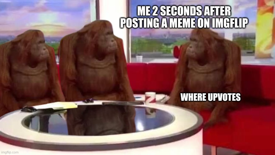 where monkey | ME 2 SECONDS AFTER POSTING A MEME ON IMGFLIP; WHERE UPVOTES | image tagged in where monkey | made w/ Imgflip meme maker