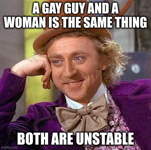 unstable | A GAY GUY AND A WOMAN IS THE SAME THING; BOTH ARE UNSTABLE | image tagged in memes,creepy condescending wonka | made w/ Imgflip meme maker