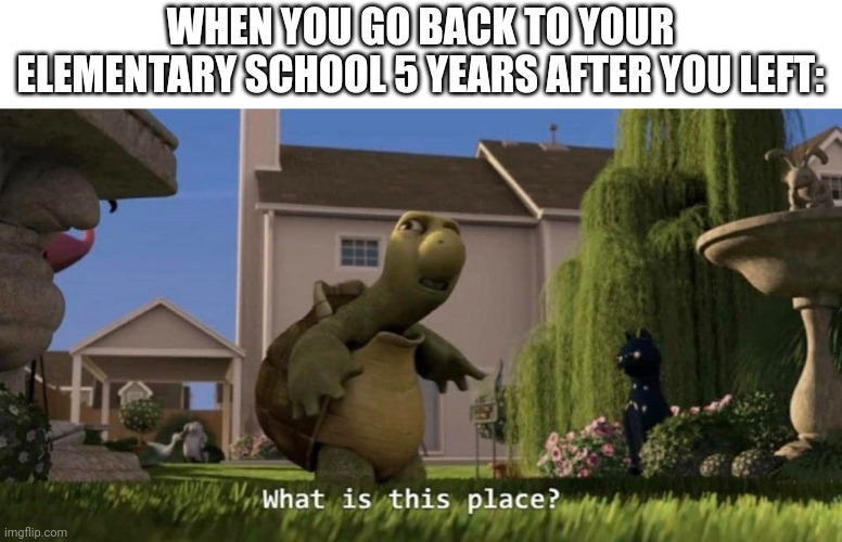 Just happened to me today | WHEN YOU GO BACK TO YOUR ELEMENTARY SCHOOL 5 YEARS AFTER YOU LEFT: | image tagged in what is this place | made w/ Imgflip meme maker