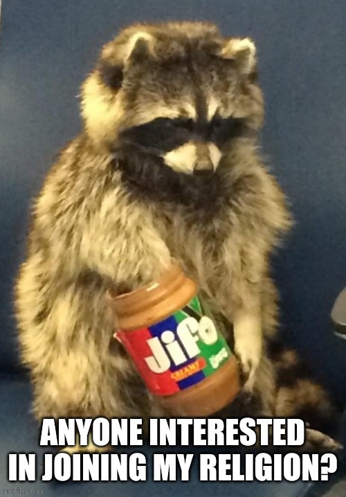 Give your life to the peanut butter raccoon and support raccoonism | image tagged in raccoon | made w/ Imgflip meme maker