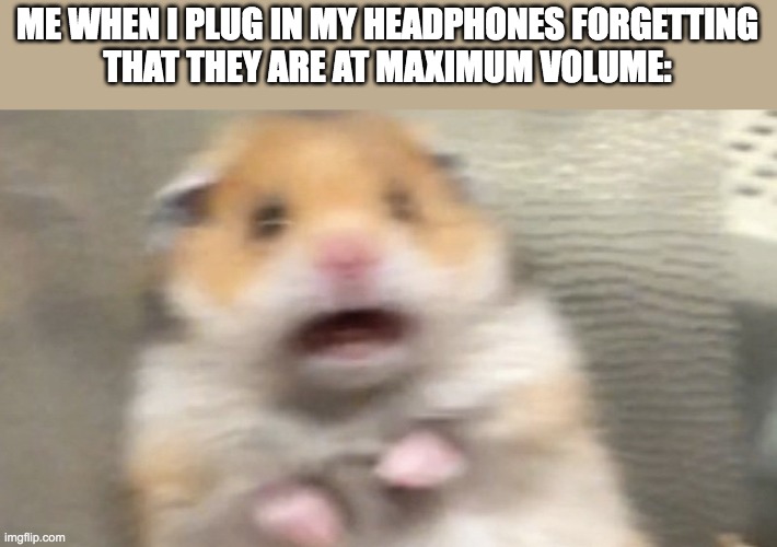This happens way to many times | ME WHEN I PLUG IN MY HEADPHONES FORGETTING
THAT THEY ARE AT MAXIMUM VOLUME: | image tagged in memes,hamster,hampter,headphones | made w/ Imgflip meme maker