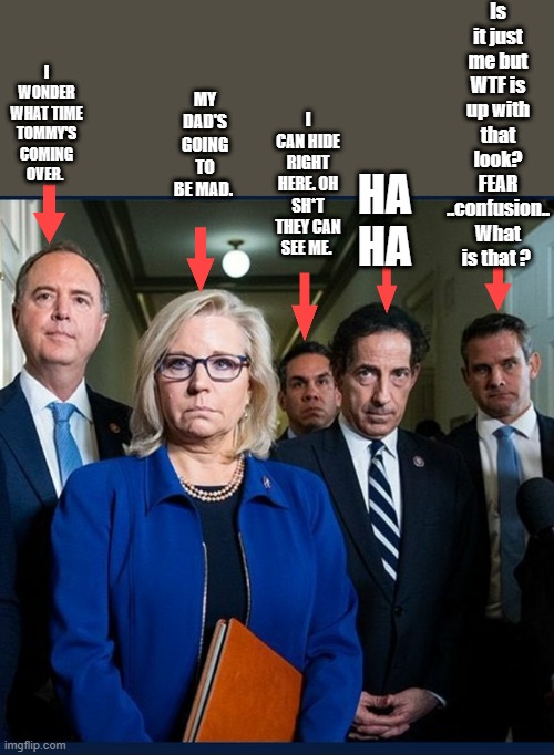 DEMrat Mooks on parade.. | Is it just me but WTF is up with that look? FEAR ..confusion.. What is that ? I WONDER WHAT TIME TOMMY'S COMING OVER. MY DAD'S GOING TO BE MAD. I CAN HIDE RIGHT HERE. OH SH*T THEY CAN SEE ME. HA HA | image tagged in democrats,nwo,traitors | made w/ Imgflip meme maker