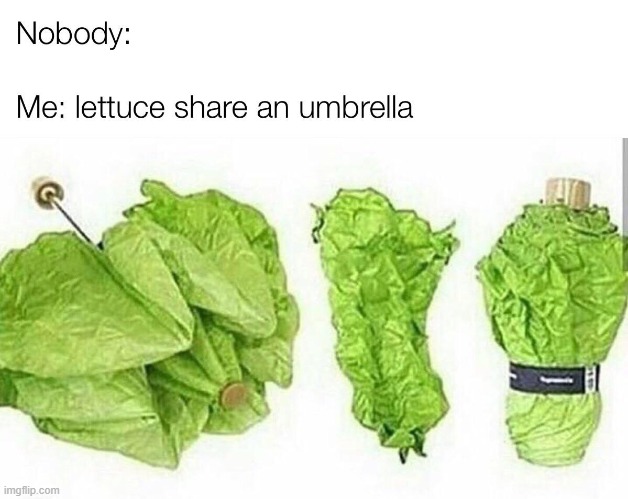 Bad pun alert. | image tagged in memes,funny | made w/ Imgflip meme maker