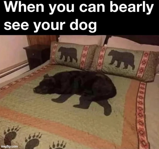 Spilled some spot remover, now he's gone | image tagged in memes,funny | made w/ Imgflip meme maker