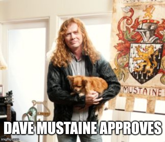 Dave Mustaine Puppy | DAVE MUSTAINE APPROVES | image tagged in dave mustaine puppy | made w/ Imgflip meme maker