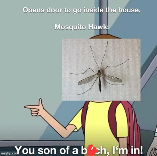 If they really ate mosquitoes they wouldn’t be so bad. | image tagged in memes,funny | made w/ Imgflip meme maker