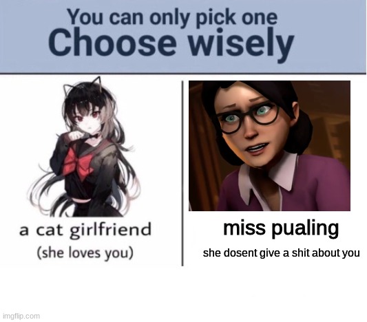 i pick none |  miss pualing; she dosent give a shit about you | image tagged in choose wisely,tf2 | made w/ Imgflip meme maker