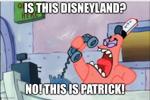 NO THIS IS PATRICK | IS THIS DISNEYLAND? NO! THIS IS PATRICK! | image tagged in no this is patrick | made w/ Imgflip meme maker