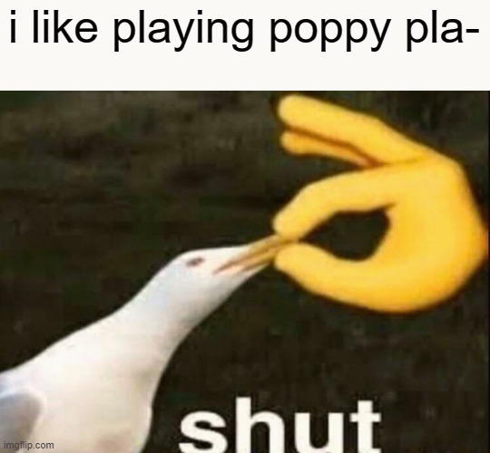 SHUT | i like playing poppy pla- | image tagged in shut | made w/ Imgflip meme maker