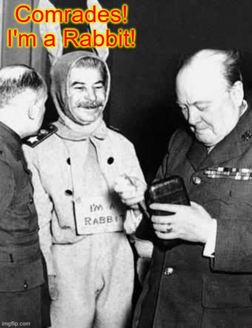 Stalin Cosplaying as a Rabbit | Comrades! I'm a Rabbit! | image tagged in soviet union,joseph stalin,cosplay,memes | made w/ Imgflip meme maker