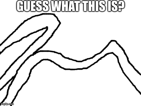 GUESS WHAT THIS IS? | made w/ Imgflip meme maker