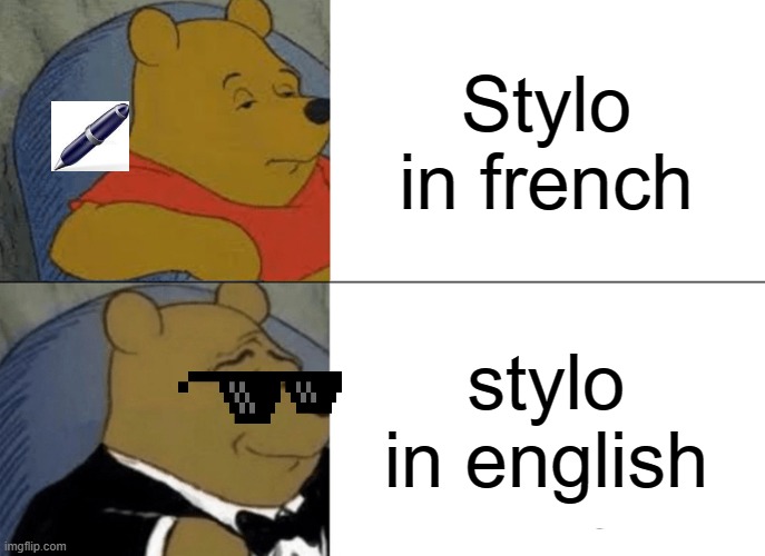 Stylo | Stylo in french; stylo in english | image tagged in memes,tuxedo winnie the pooh | made w/ Imgflip meme maker