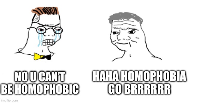 nooo haha go brrr | NO U CAN’T BE HOMOPHOBIC HAHA HOMOPHOBIA GO BRRRRRR | image tagged in nooo haha go brrr | made w/ Imgflip meme maker