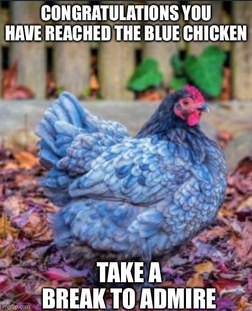 Blue chicken | CONGRATULATIONS YOU HAVE REACHED THE BLUE CHICKEN; TAKE A BREAK TO ADMIRE | image tagged in chicken,blue | made w/ Imgflip meme maker