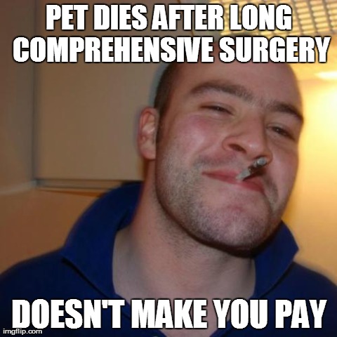 Good Guy Greg | PET DIES AFTER LONG COMPREHENSIVE SURGERY DOESN'T MAKE YOU PAY | image tagged in memes,good guy greg,AdviceAnimals | made w/ Imgflip meme maker