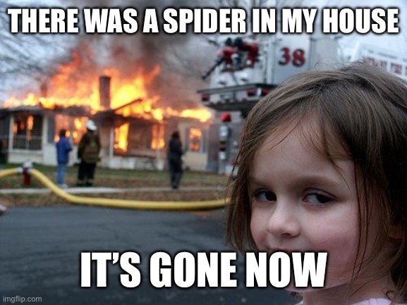 Disaster Girl | THERE WAS A SPIDER IN MY HOUSE; IT’S GONE NOW | image tagged in memes,disaster girl | made w/ Imgflip meme maker