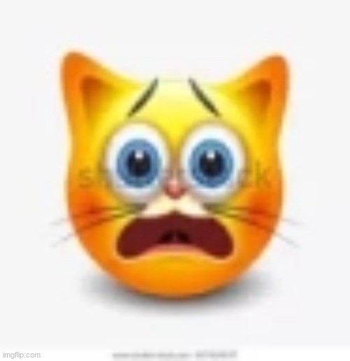 cat stock emoji scared | image tagged in cat stock emoji scared | made w/ Imgflip meme maker