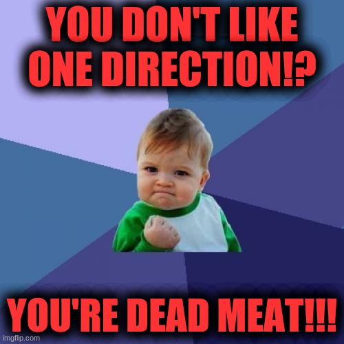 LOL!!!!!! | YOU DON'T LIKE ONE DIRECTION!? YOU'RE DEAD MEAT!!! | image tagged in memes,success kid | made w/ Imgflip meme maker
