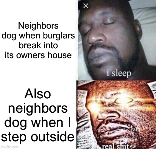 *aggressive barking sounds* | Neighbors dog when burglars break into its owners house; Also neighbors dog when I step outside | image tagged in i sleep real shit,dogs,memes,barking | made w/ Imgflip meme maker