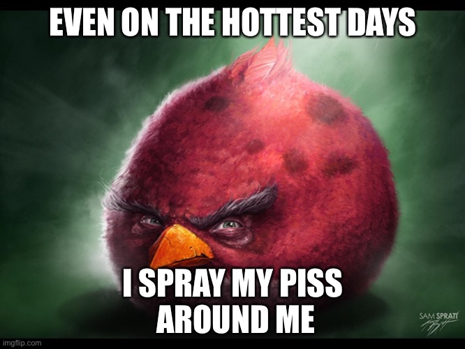Realistic Angry Bird (big red) | EVEN ON THE HOTTEST DAYS; I SPRAY MY PISS
 AROUND ME | image tagged in realistic angry bird big red | made w/ Imgflip meme maker